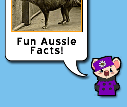 Learn Fun Aussie Facts!
